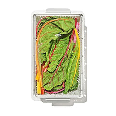 Produce Saver - Large Bin