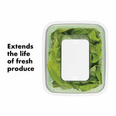 GreenSaver Produce Keeper (4.3 Qt)